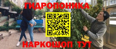 Альфа ПВП Будённовск