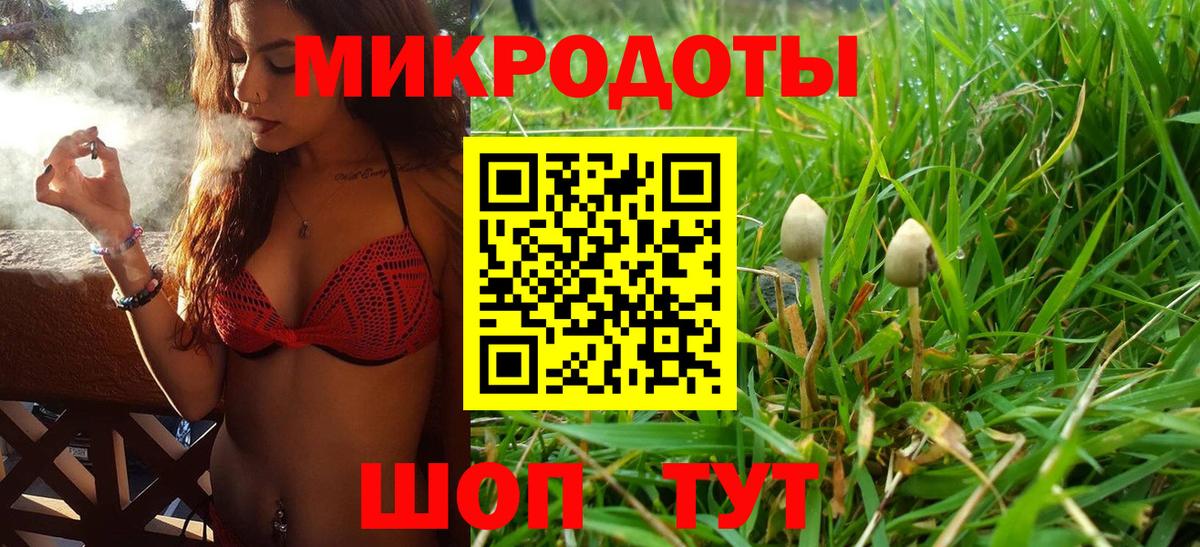 Озёрск  Псилоцибиновые грибы Psilocybe  Вход с VPN 